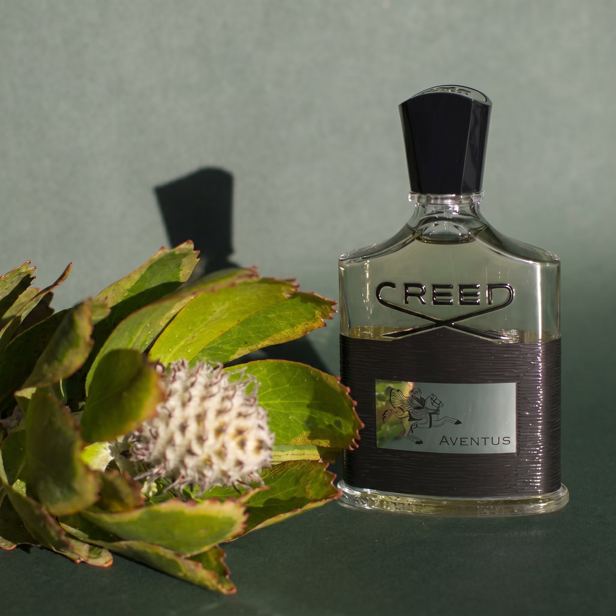 CREED Aventus (EDP)